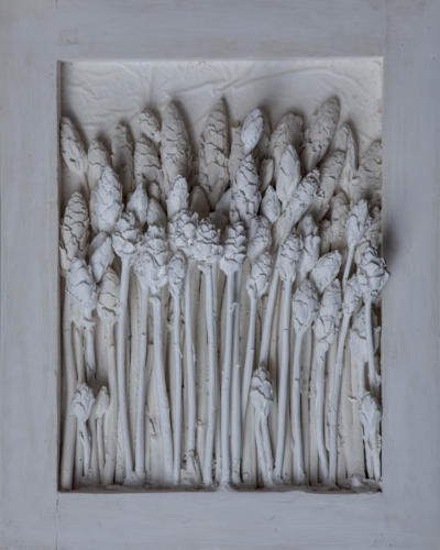 Boccioli di acanto 2